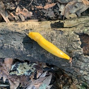 Meet your Posher, Kaitlyn